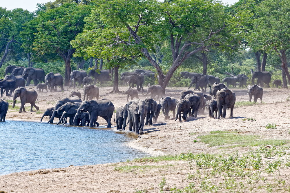 Nambwa Tented Lodge Kongola Exteriör bild